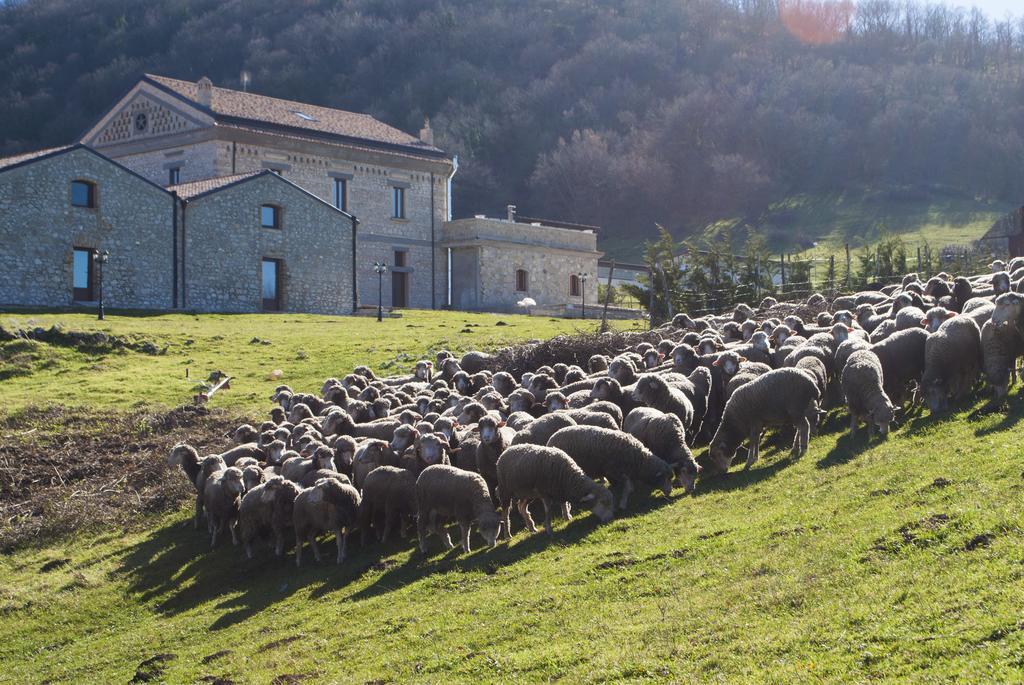 Masseria Salecchia Bovino Zewnętrze zdjęcie