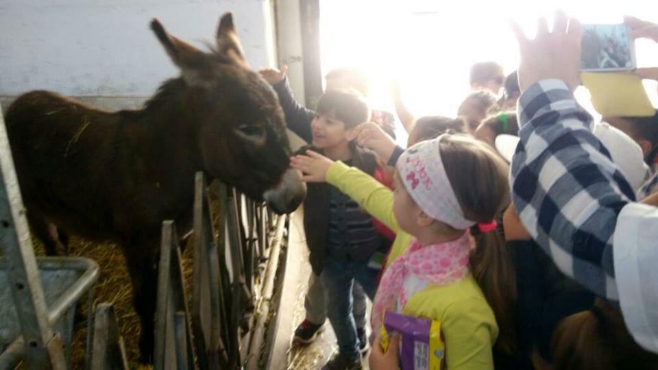 Masseria Salecchia Bovino Zewnętrze zdjęcie